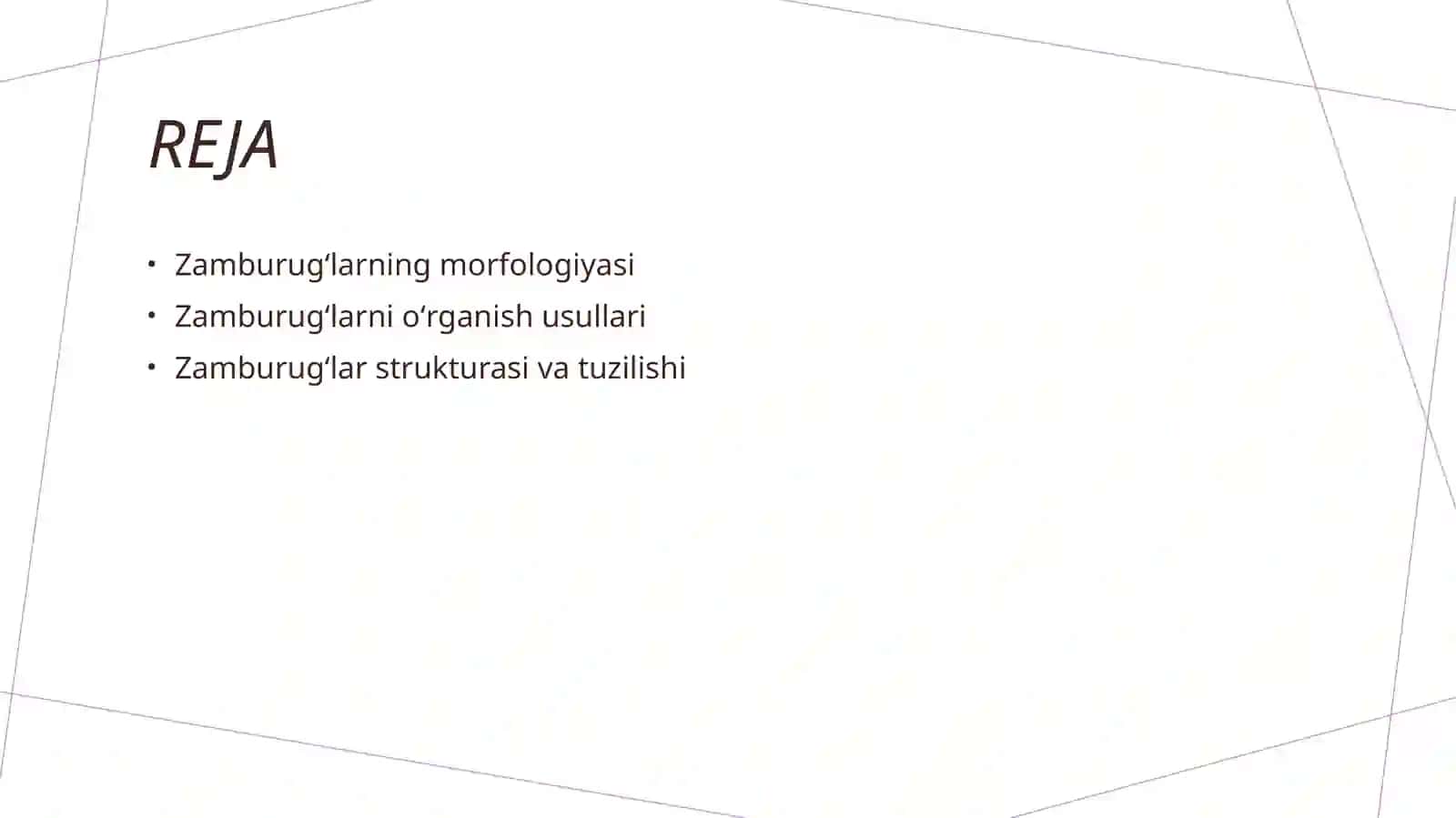 Zamburugʻlar ularning morfologiyasi va ularni oʻrganish usullari . 2