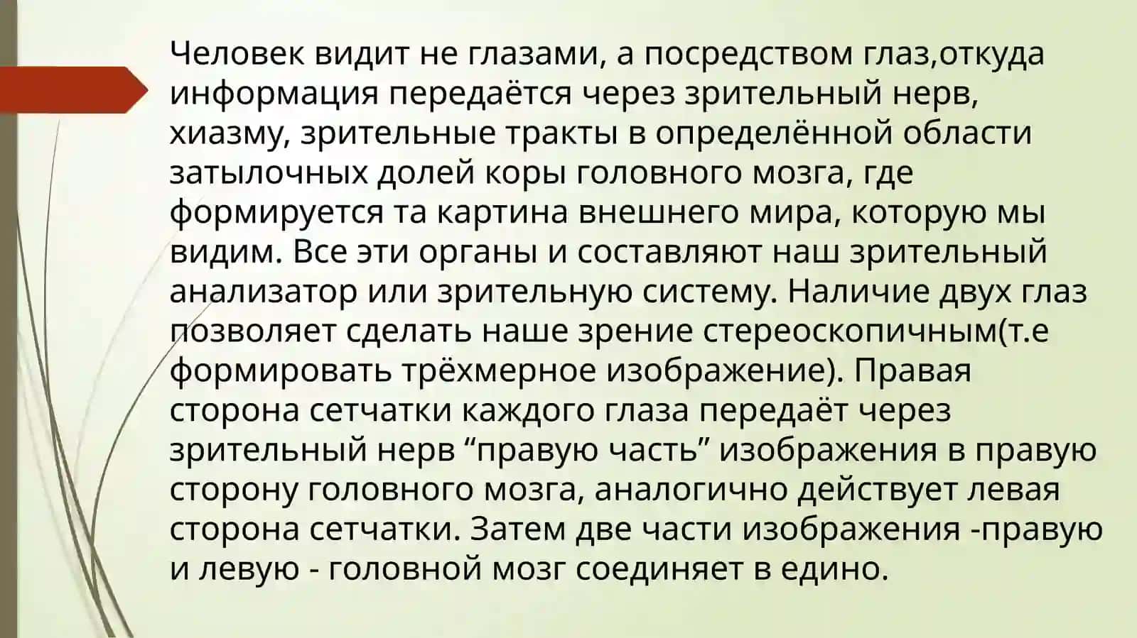 Строение и функции глаза 2