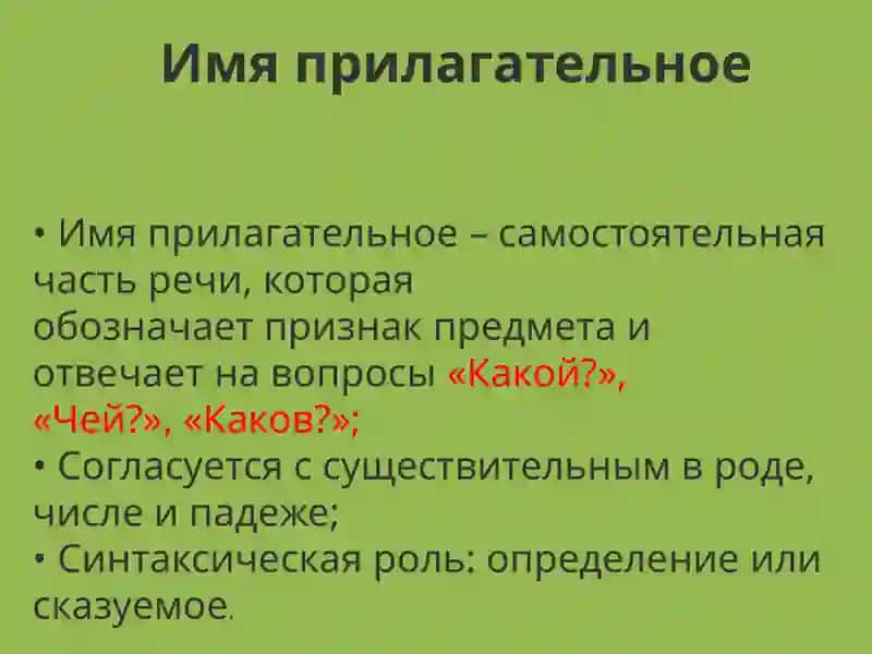 Имя прилагательное. Разряды прилагательных 2