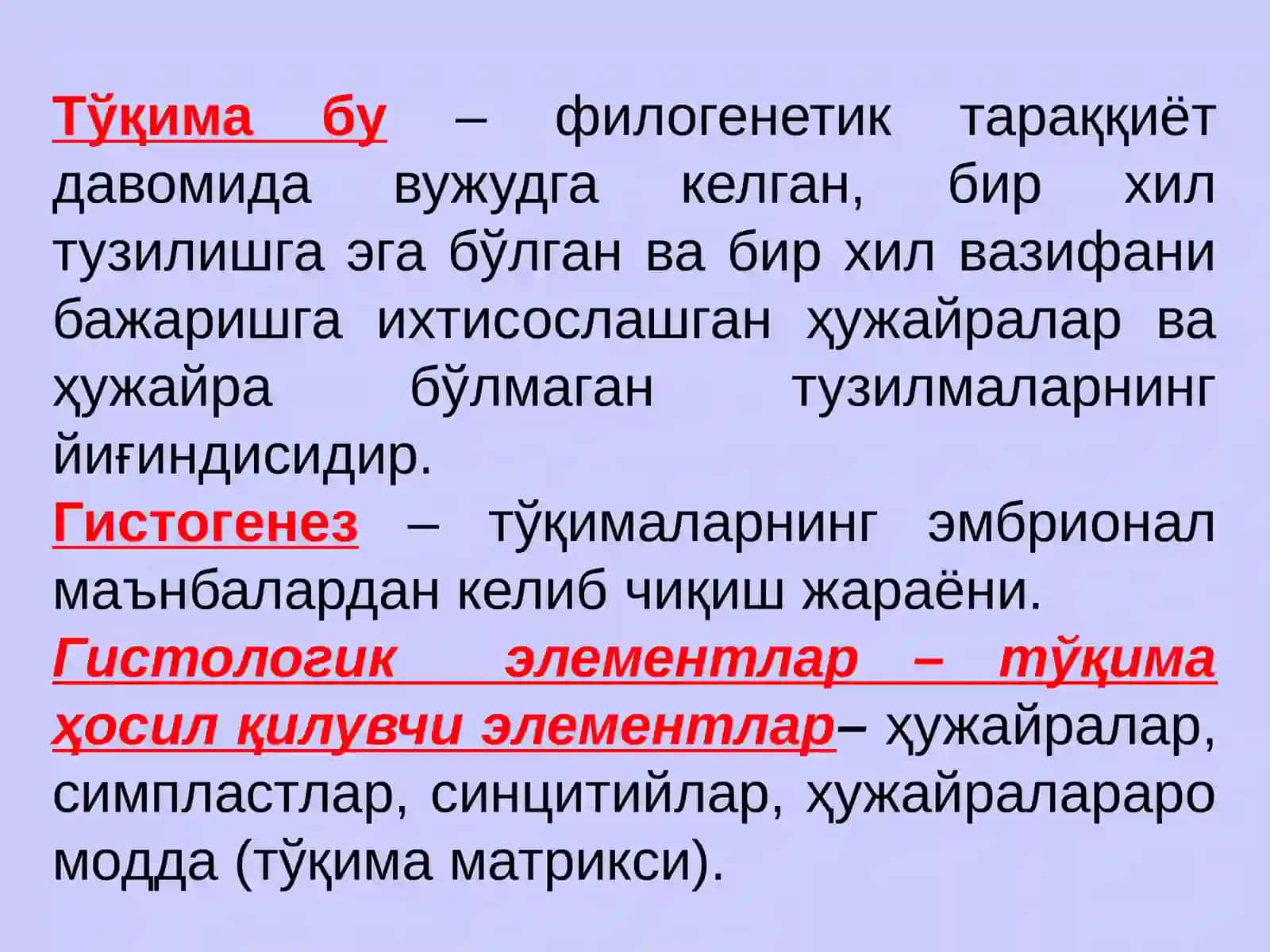 ЭПИТЕЛИЙ ТЎҚИМАСИ 2