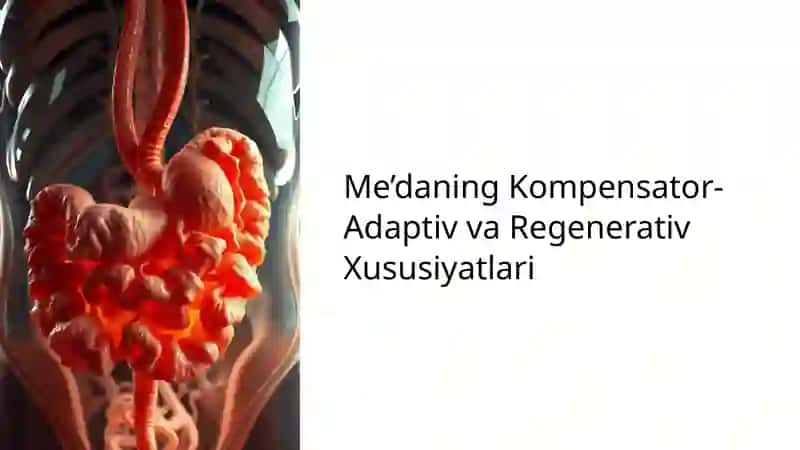 Me'daning Kompensator-Adaptiv va Regenerativ Xususiyatlari 2