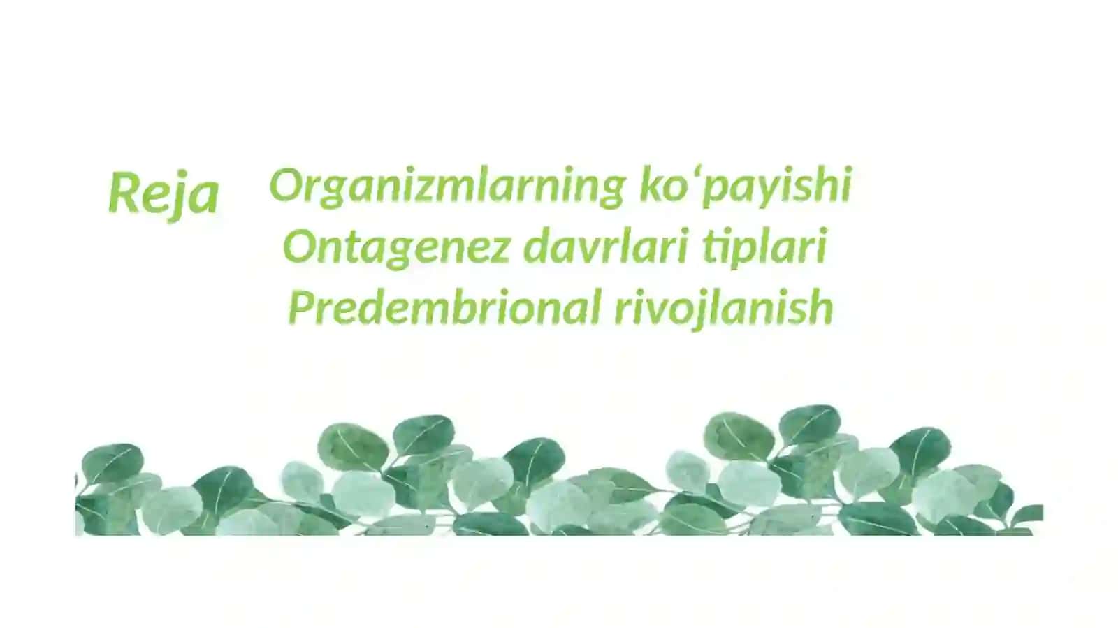 Organizmlarning Ko'payishi.Ontogenez Predembrional Rivojlanishi 2
