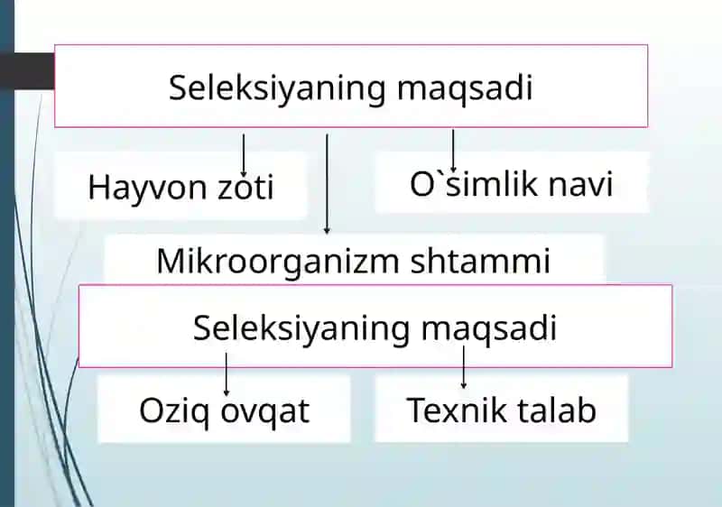 O`simlik va hayvonlar seleksiyasi 2