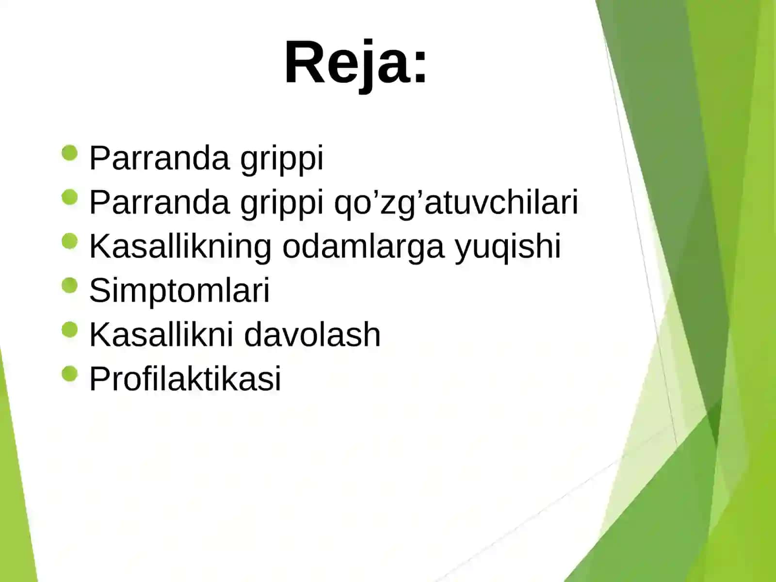 Parranda grippi 2