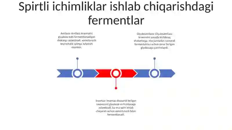 Spirt Ishlab Chiqarishda Fermentlar 2