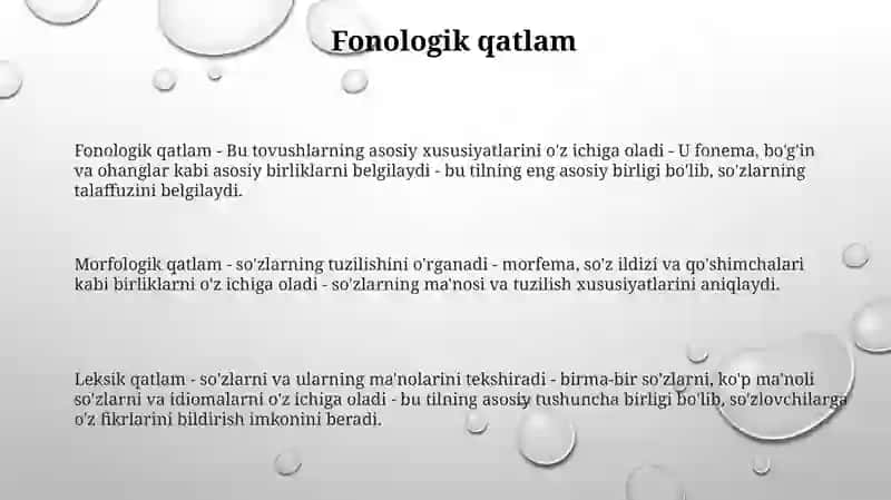 Tilning Leksik Qatlamlari 2