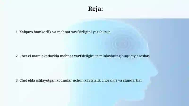 Xalqaro mehnat huquqi va standartlari 2