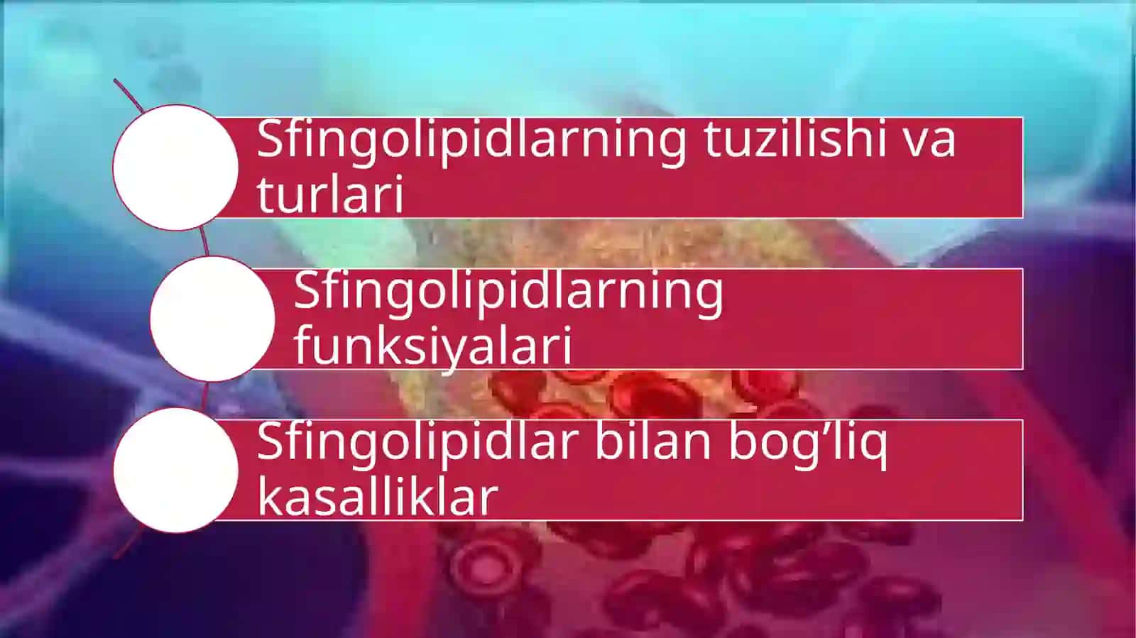 Sfingolipidlar 2