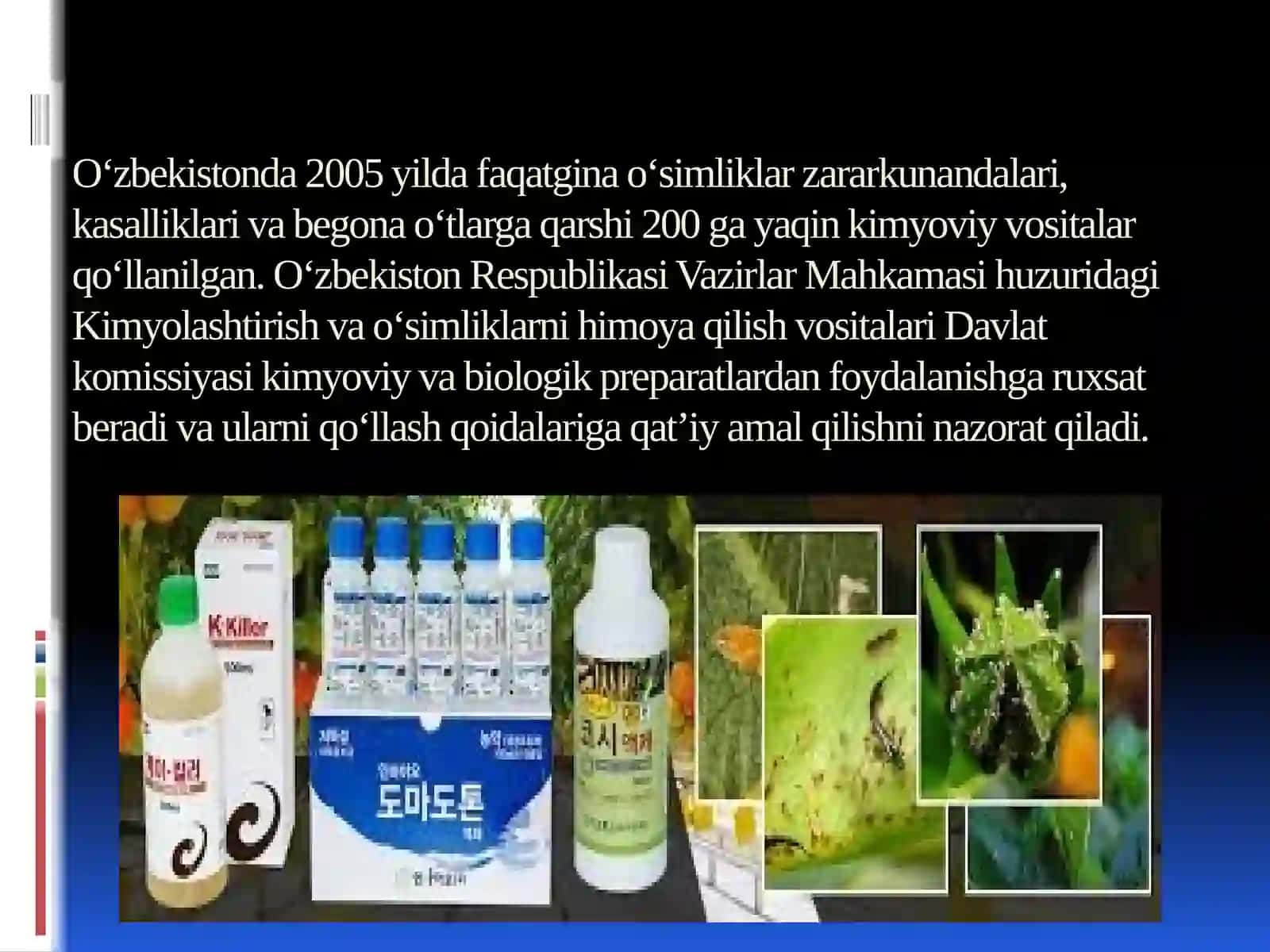 Oʻzbekiston Milliy universiteti 2
