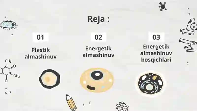 Moddalar Almashinuvi 2