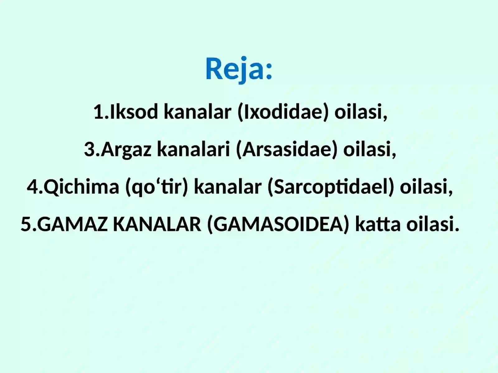 Kanalar Acarina 2