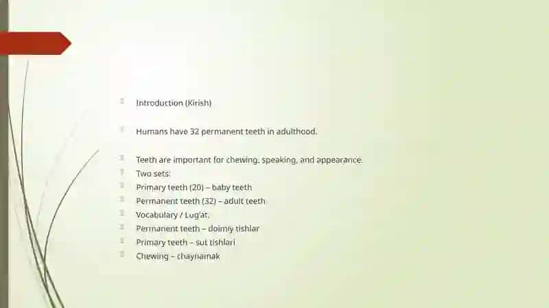 Types of Teeth 2