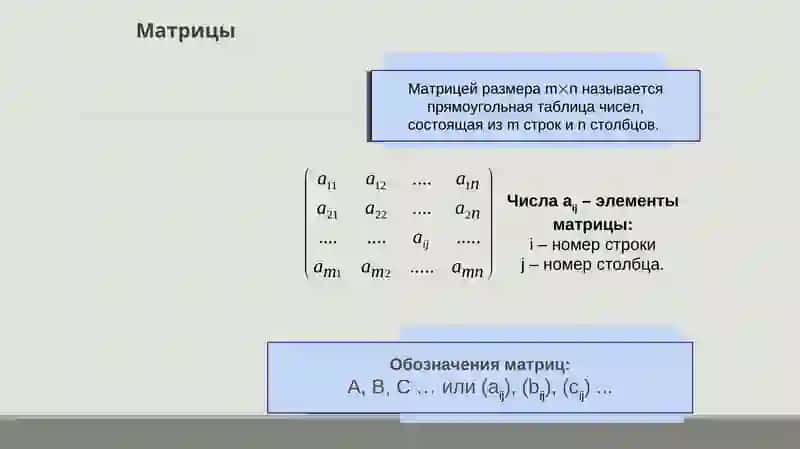 Высшая математика 2