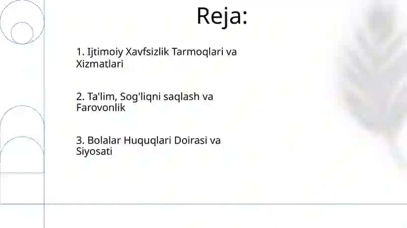 Bolalarni himoya qilishda rivojlangan davlatlar tajribasi 2
