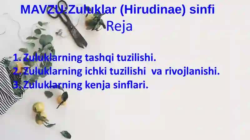 Zuluklar(Hirudinae)sinfi 2
