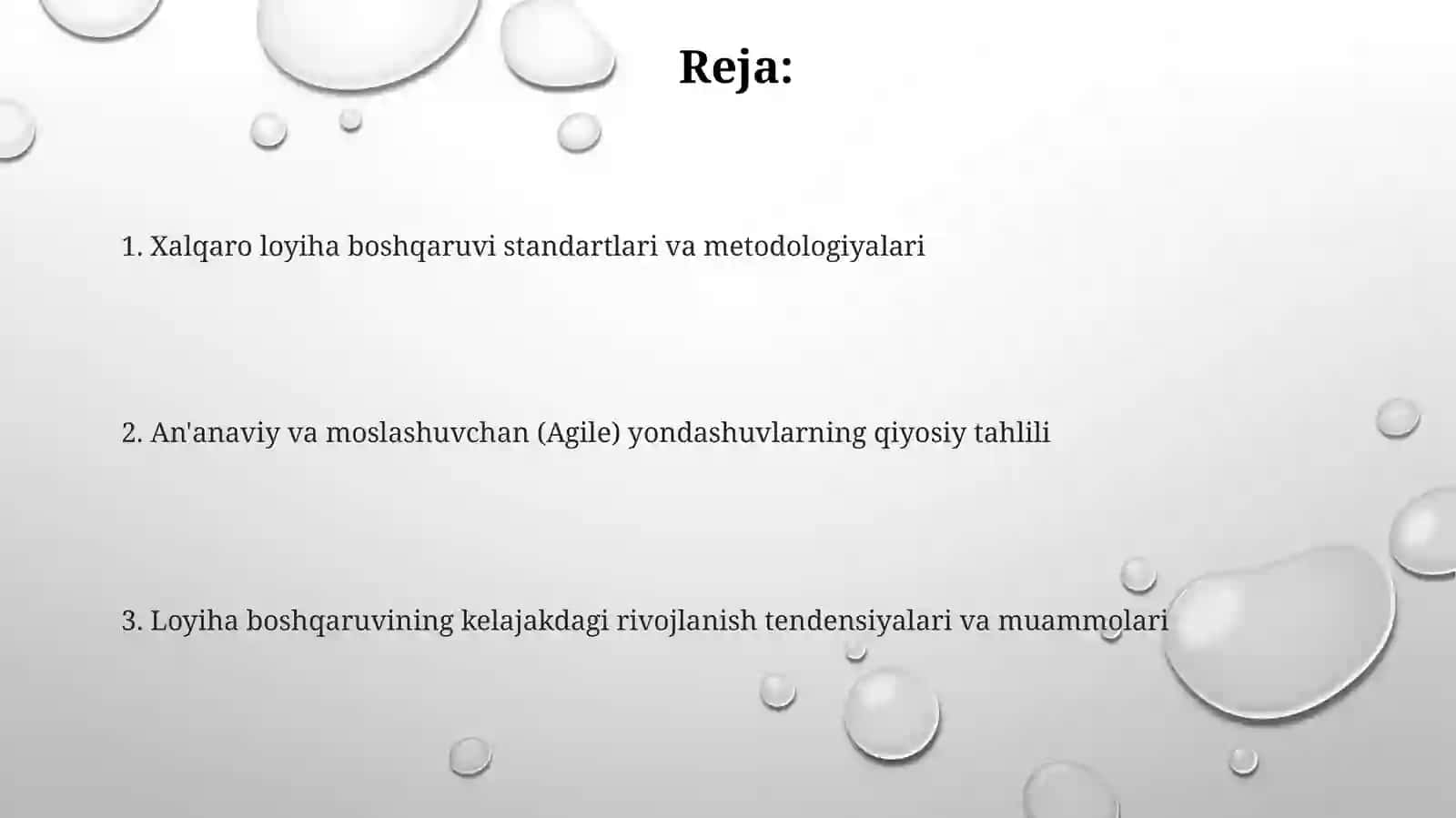 Loyiha boshqaruvining xalqaro uslublari va standartlari 2