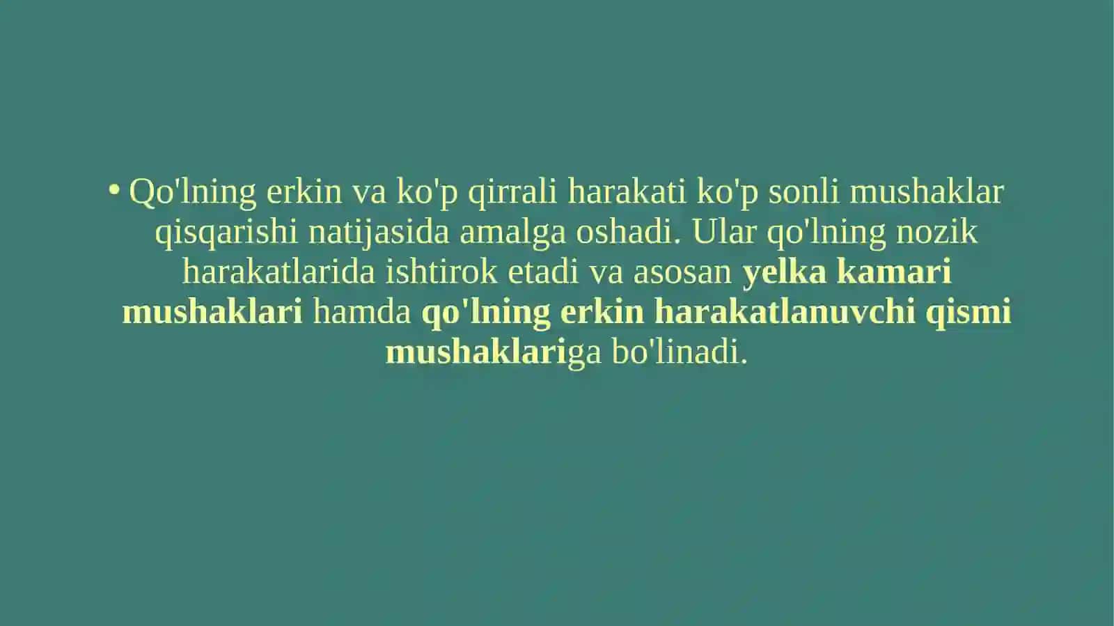 QO’L MUSKULLARI 2