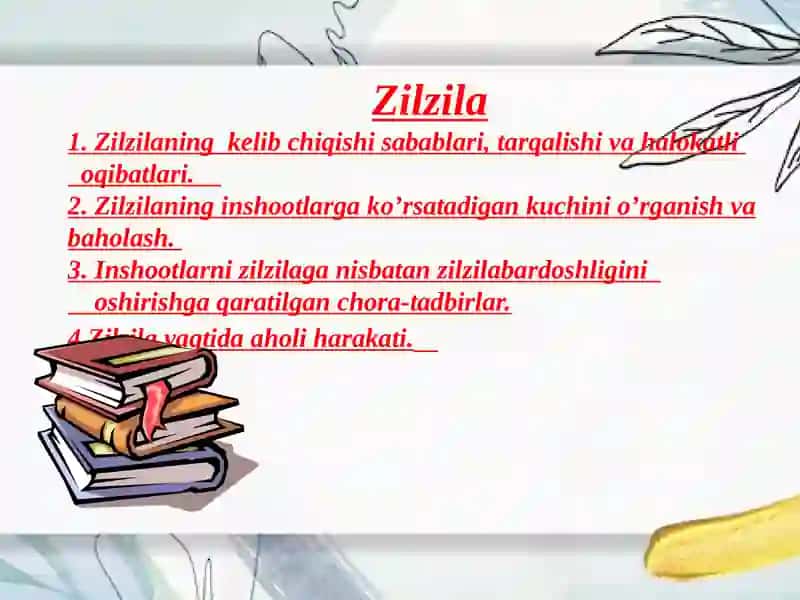 Zilzila  va uning oqibatlari 2