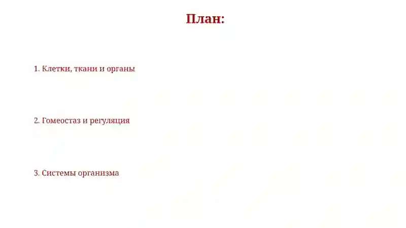 Анатомия физиология человека 2