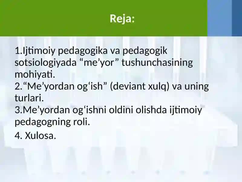 Ijtimoiypedagogika va pedagogik sotsiologiyada “me’yor” va “me’yordan og‘ish” tushunchasi 2
