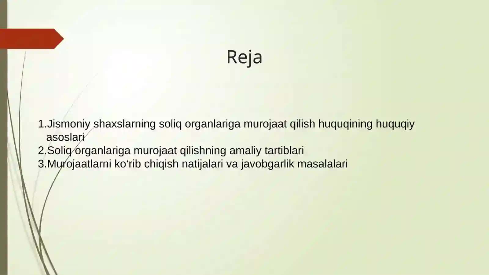Soliq organlari bilan munosabatlarda jismoniy shaxslarning murojaat qilish huquqi amaliy tartiblar 2