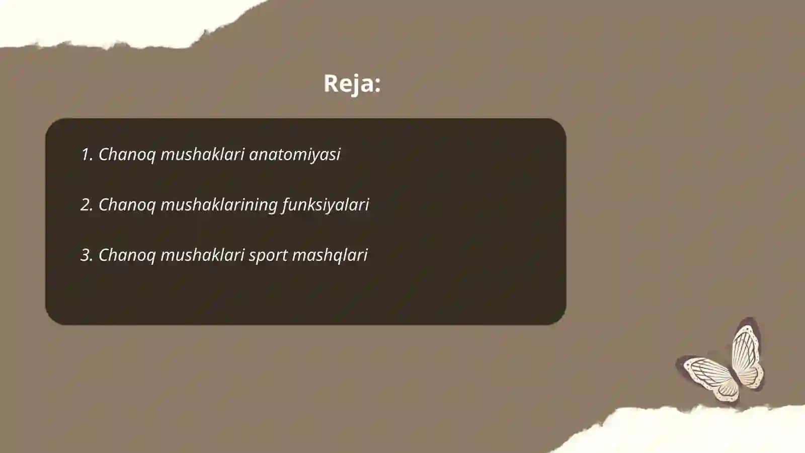 Chanoq mushaklari anatomiyasi 2