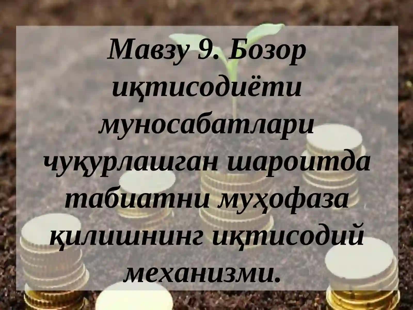 Бозор иқтисодиёти муносабатлари чуқурлашган шароитда табиатни муҳофаза қилишнинг иқтисодий механизми 2