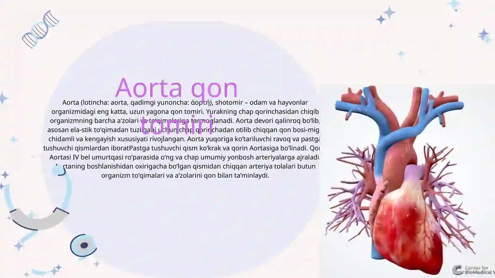 Angiologiya 2