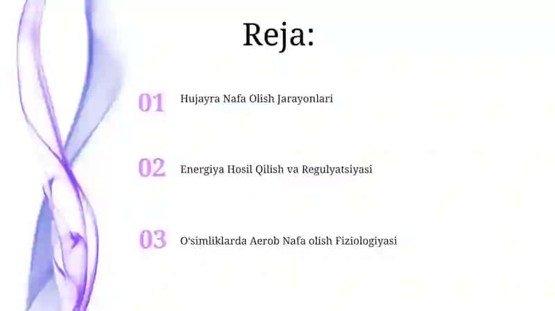 Oʻsimliklarda Aerob Nafa olish Fiziologiyasi 2