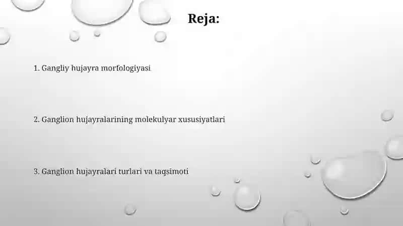 Gangliy hujayra gistologiyasi 2
