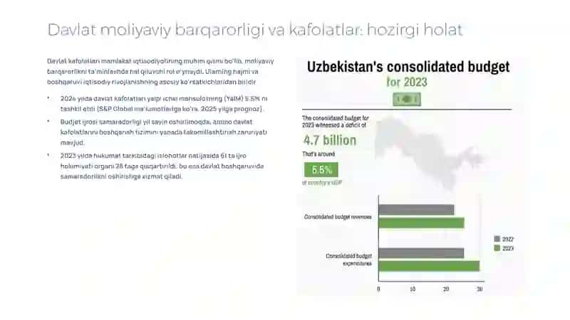 Budjet g‘azna ijrosi sharoitida davlat kafolatlarini ta’minlashni yaxshilash 2