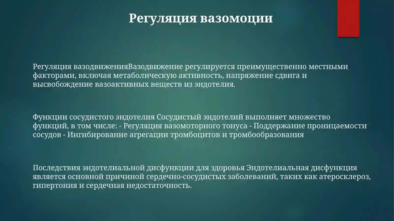 Функции Сосудистого Эндотелия 2
