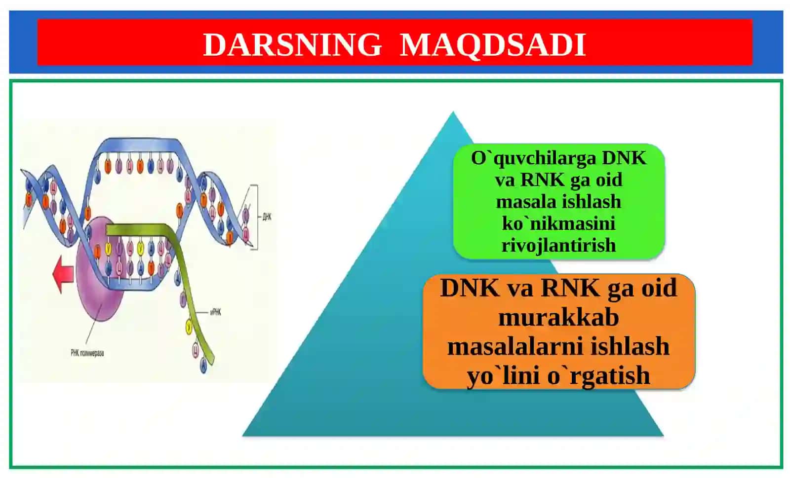 DNK ga oid murakkab masalalarning ishlash usullari 2