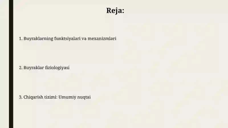 Ayiruv sistemasi.Buyraklar fiziologiyasi 2