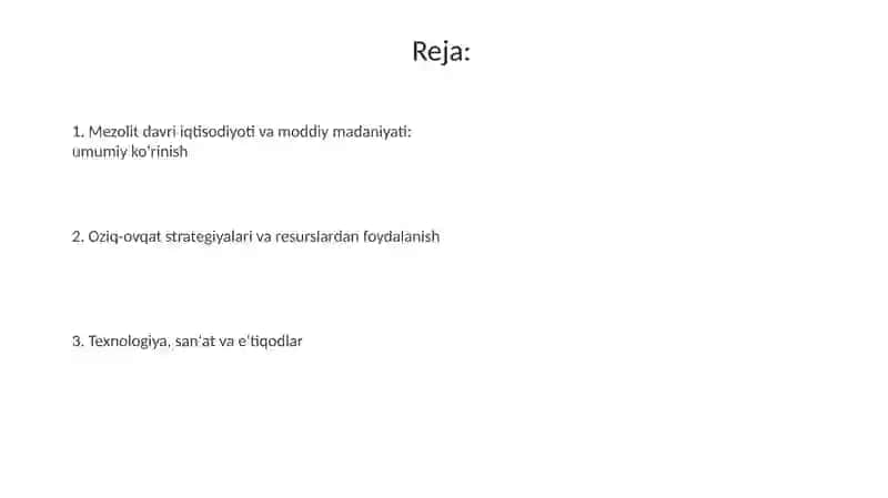 Mezolit davri iqtisodiyoti va moddiy madaniyati 2