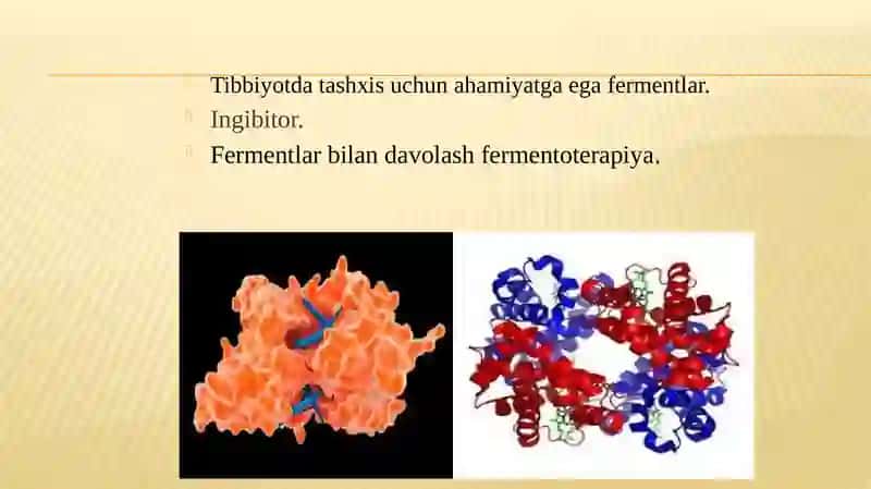 Fermentlar, ularning faolligining boshqarilishi. 2