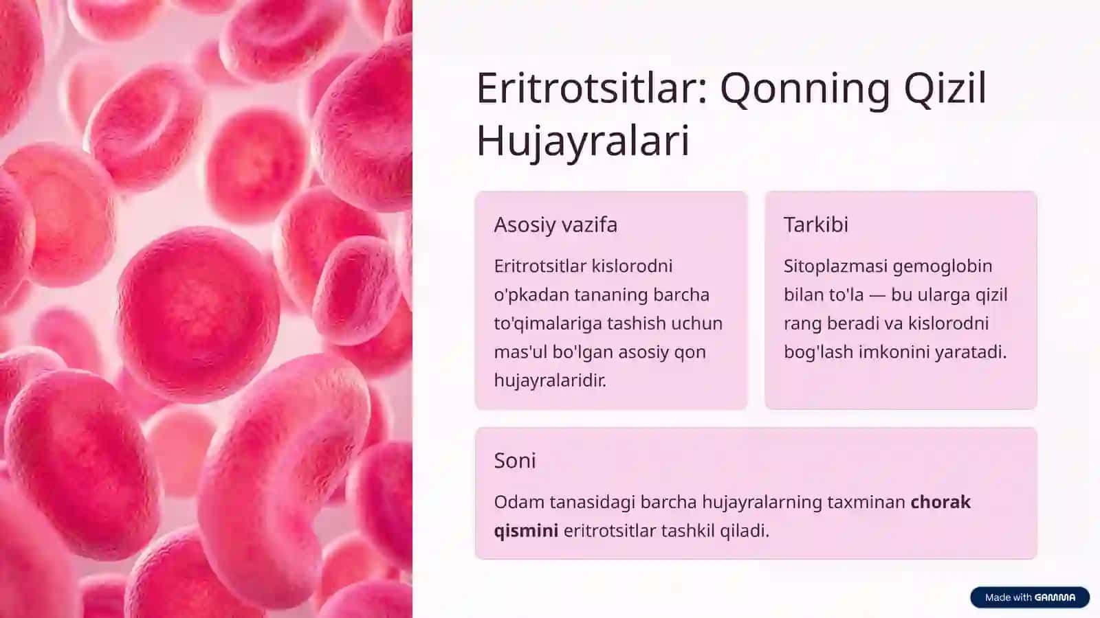 Eritrotsitlar va Gemoglobin Sintezi 2