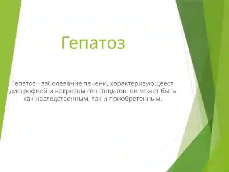 Гепатоз 2