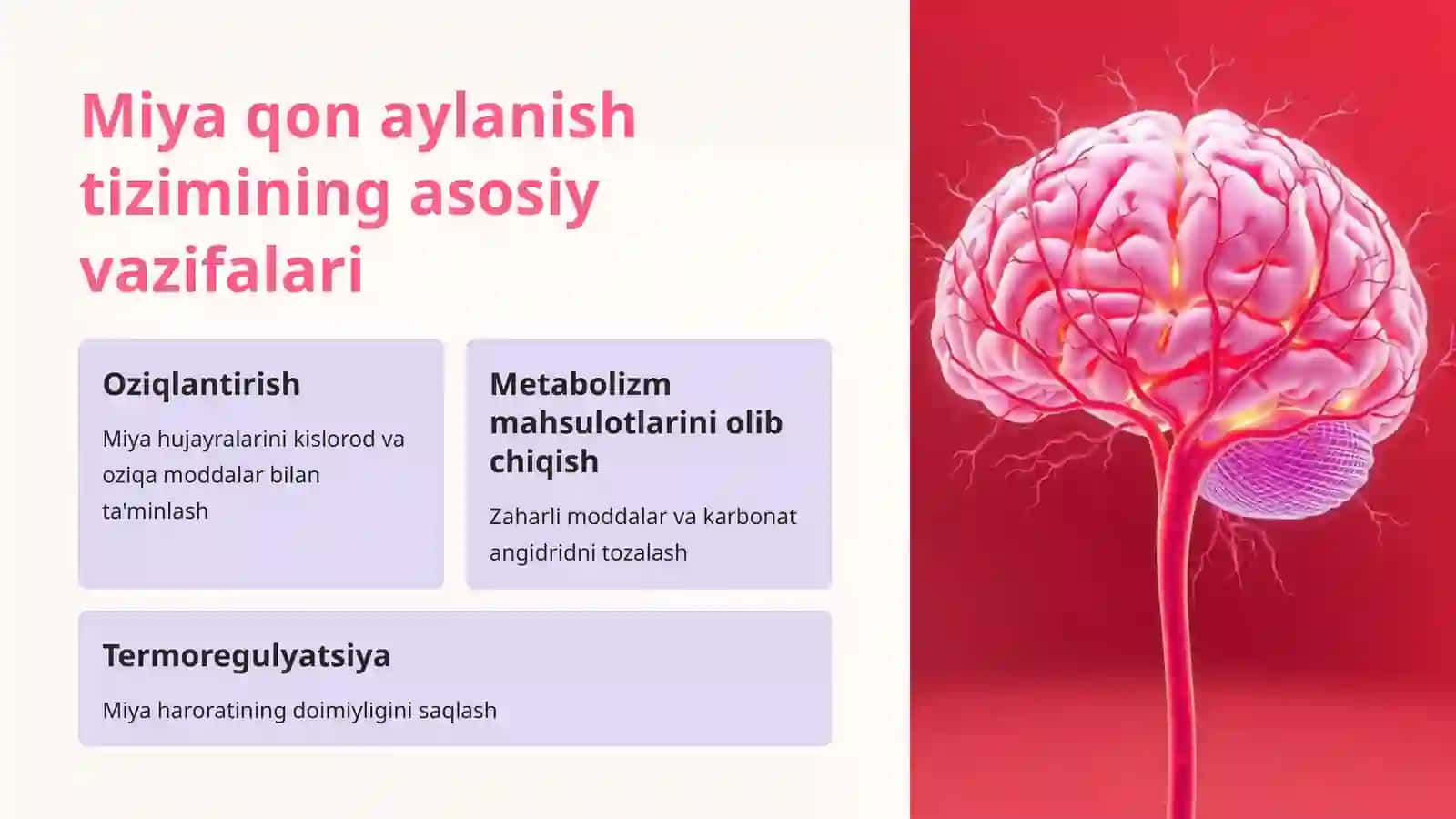 Miyyani qon bilan ta'minlanishi 2