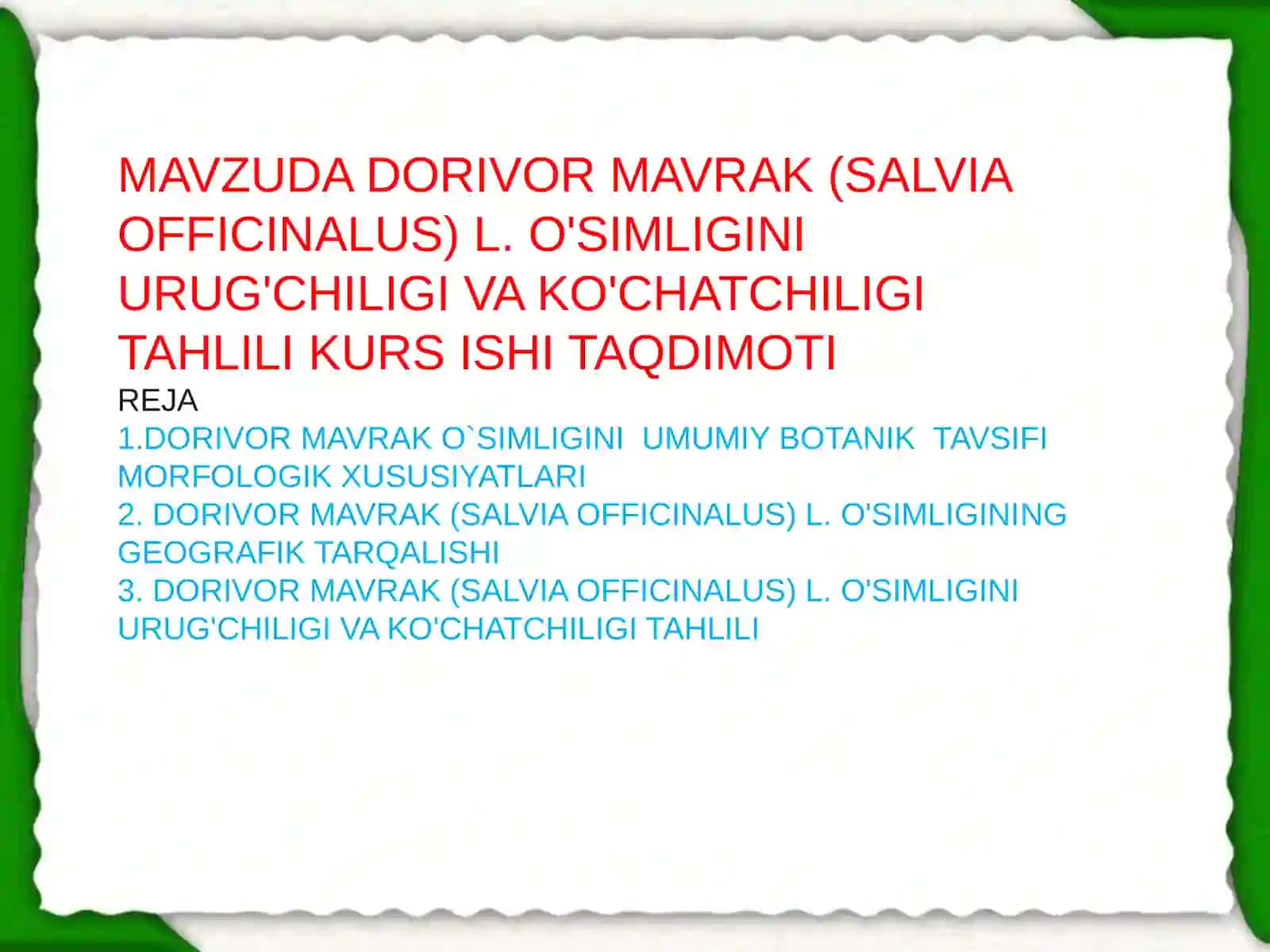 Dorivor mavrak (Salvia officinalus) L. o'simligini urug'chiligi va ko'chatchiligi tahlili 2