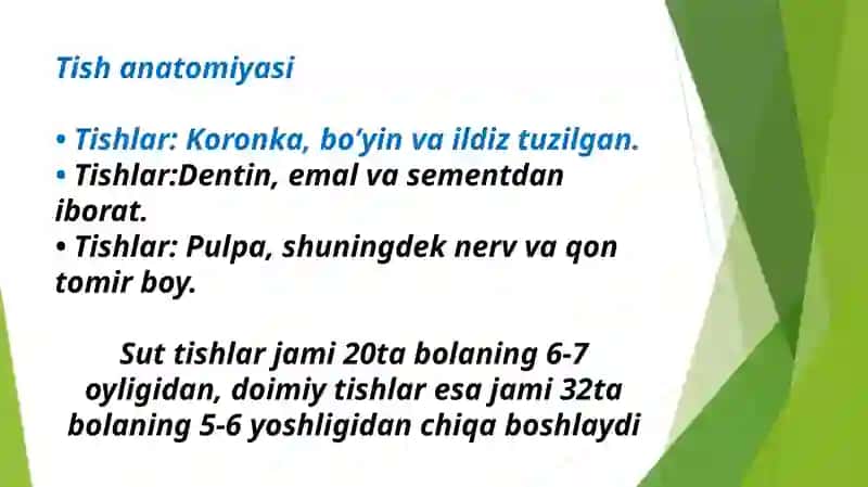 Tish kasalliklari: ksriyes, pulpit va periodontit 2