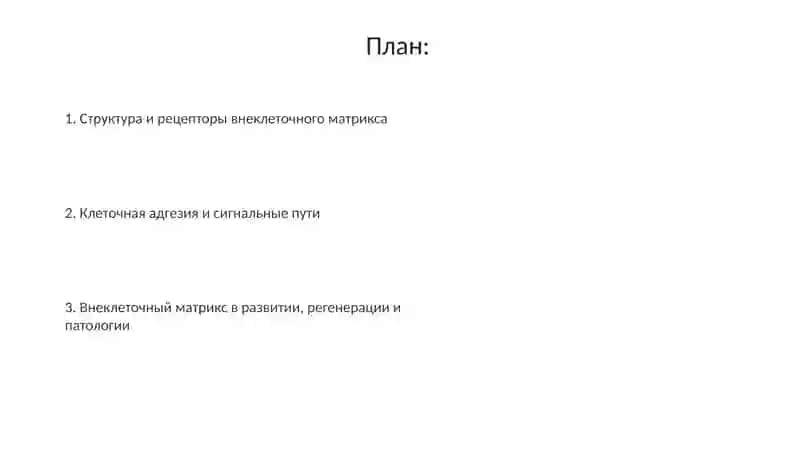 Презентация 2