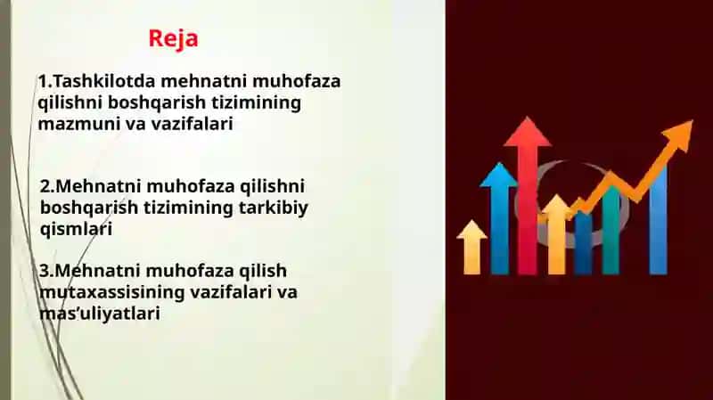 Mehnatni muhofaza qilishni boshqarish tizimi 2