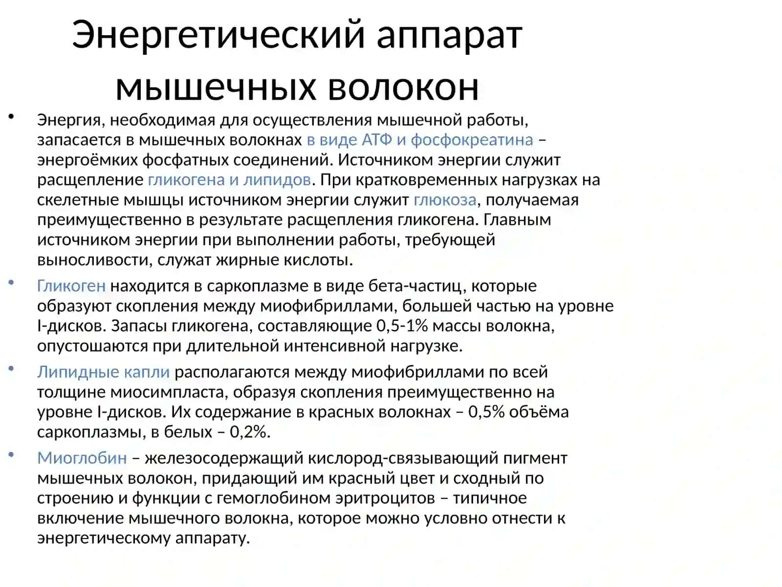 Энергетический аппарат мышечных волокон 2