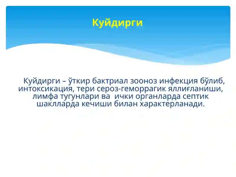 Куйдирги касалликлар 2