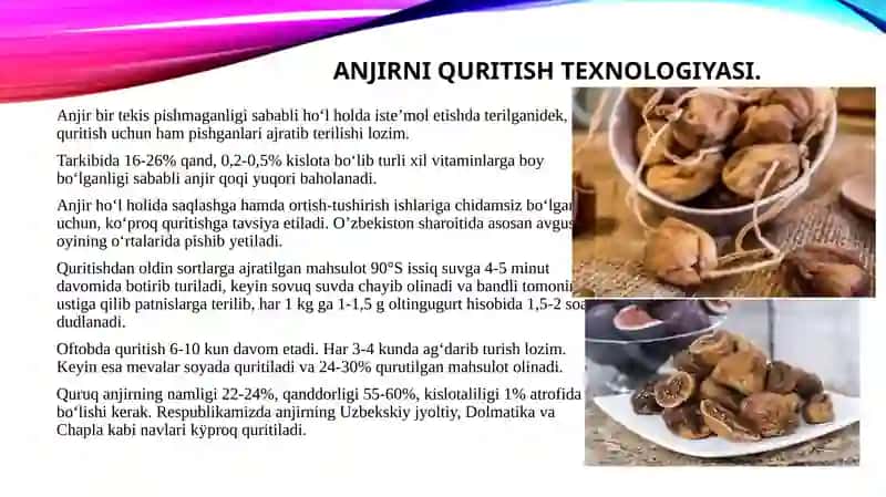 Subtropik mevalarni quritishning nazariyasoslari 2