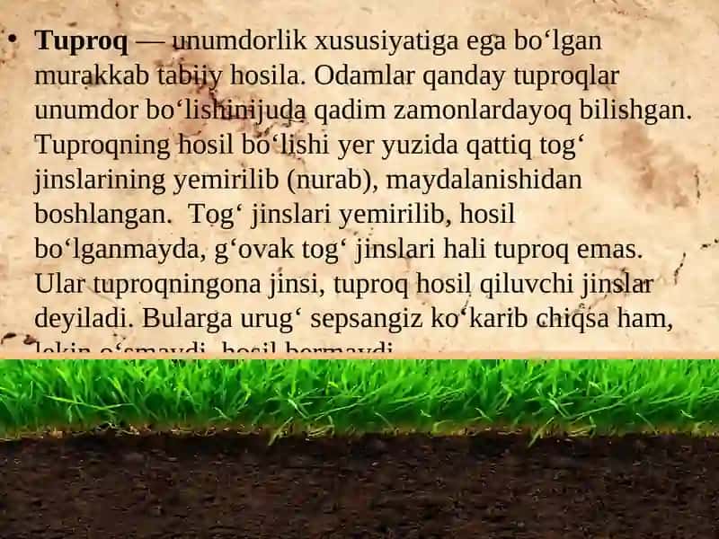 Тuproqlar haqida tushuncha 2