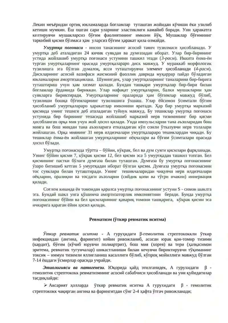 Суяк - мушак ва бириктирувчи тўқималарнинг анатомияси ва физиологияси 2