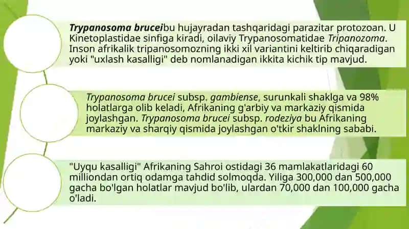 Hivchinlilar-odamparazitlari: Tripanasoma, trixonomada 2