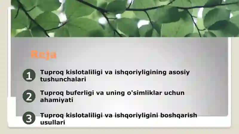 Tuproq kislotaliligi va ishqoriyligi. Tuproq buferligi ahamiyati 2
